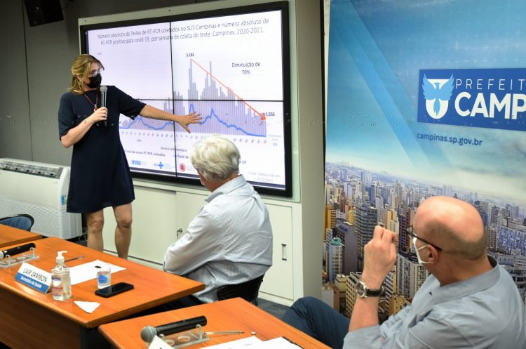 Árvore cai sobre veículo em bairro residencial de Campinas