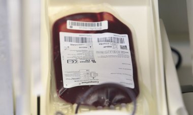 Saúde e Anvisa atualizam regras para doação de sangue durante pandemia