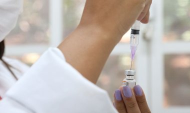 Anvisa alerta sobre diferença de vacinas pediátricas contra a covid-19