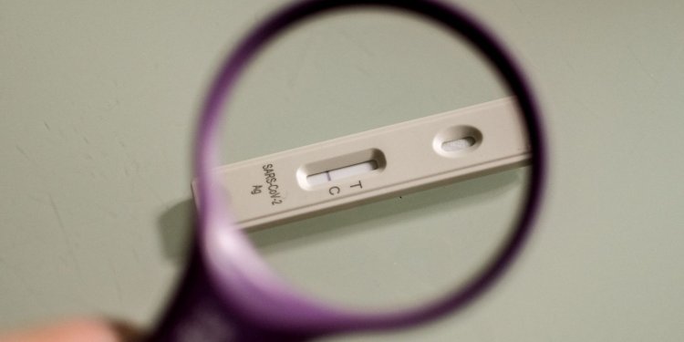 Entenda como vai funcionar o autoteste de covid-19