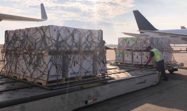 Covid-19: Brasil recebe mais 2 milhões de doses da vacina da Pfizer