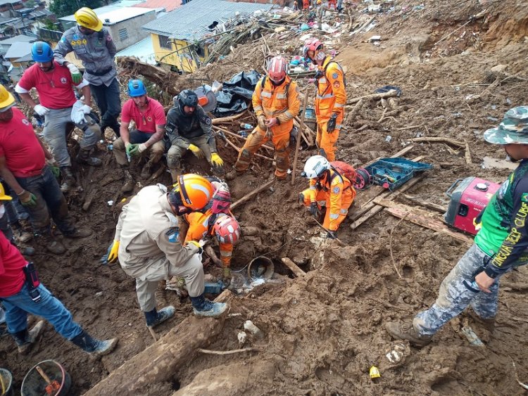 Bombeiros de Minas e cães da corporação ajudam a localizar três vítimas em Petrópolis