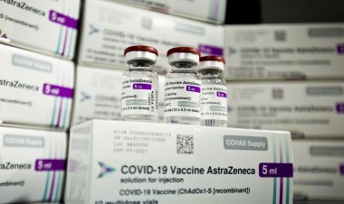 Fiocruz entrega à pasta da Saúde 1,9 milhão de doses da AstraZeneca