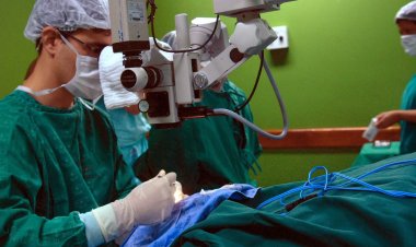 Número de doadores de órgãos volta a cair em 2021, diz associação