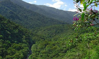 Eleitores de Itatiaia voltam às urnas neste domingo