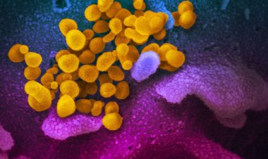 Brasil registra 657.205 mortes por covid-19