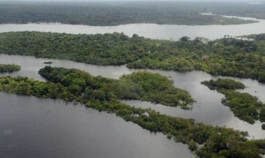 Força-Tarefa em Defesa da Amazônia permanecerá mais um ano na região
