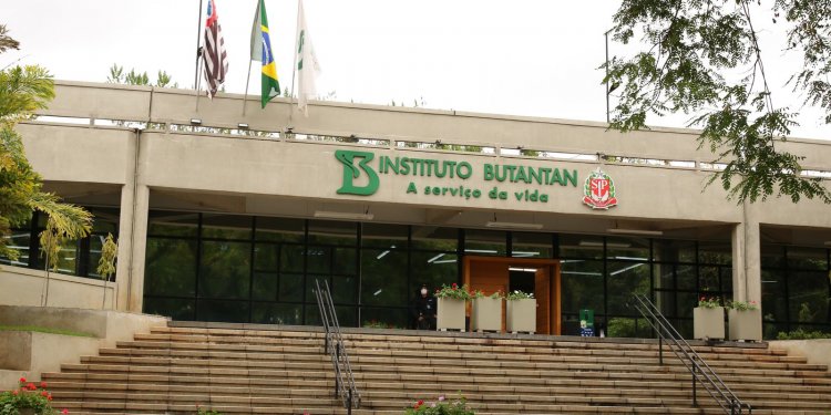 Vacina única contra covid-19 e influenza tem resultados promissores