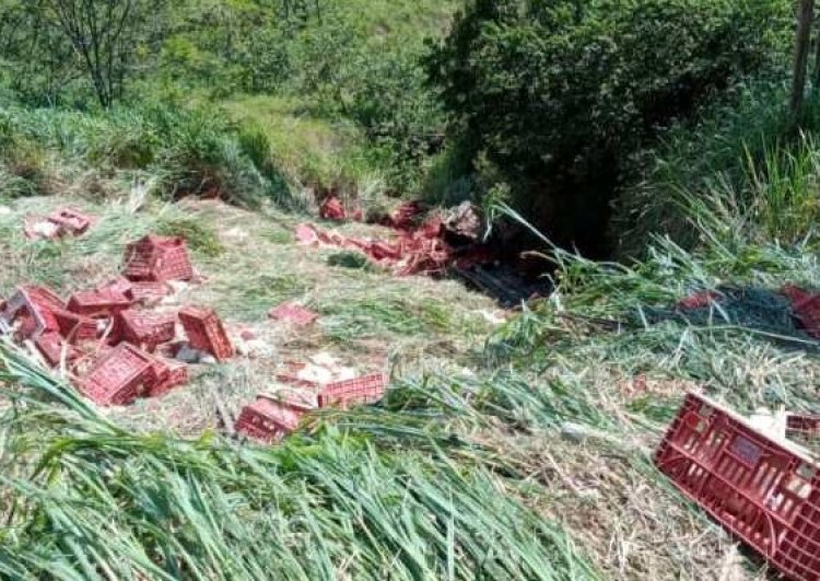 Motorista morre em acidente na Serra de São Geraldo