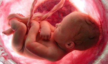 Urgente: Campanha de ajuda pela vida do Augusto