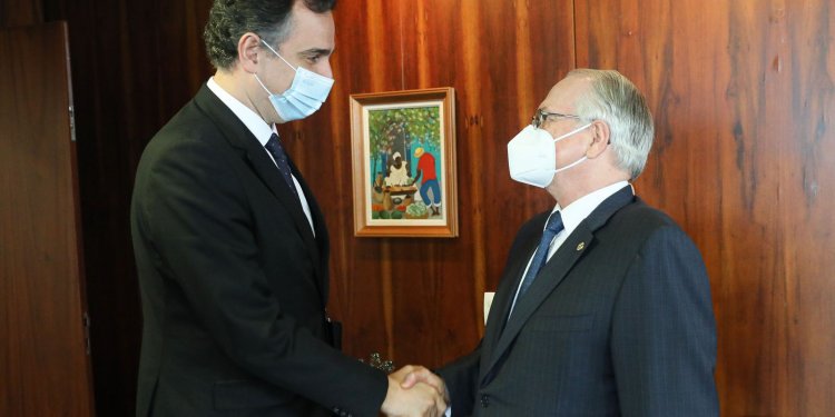 Presidente do Senado defende eleições em clima de normalidade