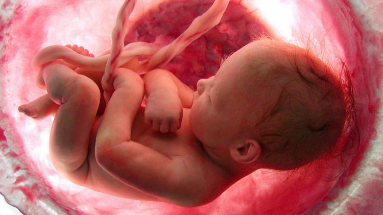 Urgente: Campanha de ajuda pela vida do Augusto