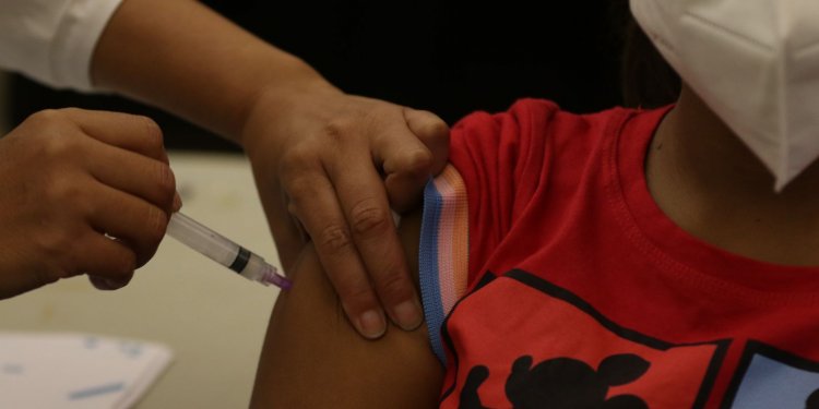 Covid-19: Brasil registra 14,1 mil casos e 185 mortes em 24 horas