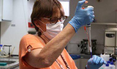 Academia de Ciências debate no Rio meio ambiente, tecnologia e saúde