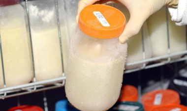 Doação de leite humano só atende metade da demanda no Brasil