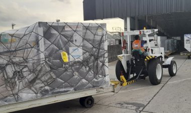 Covid-19: publicada lei que autoriza doação de vacinas a outros países