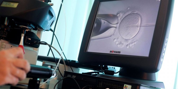 CFM já permite reprodução com material de casal do sexo masculino