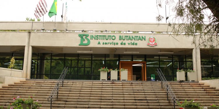 Covid-19: Butantan identifica nova variante recombinante em São Paulo