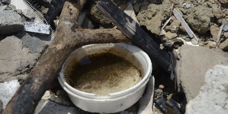 São Paulo já soma mais casos de dengue do que em todo ano passado