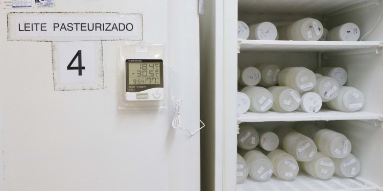 Maior banco de leite humano do mundo integra rede da Fiocruz