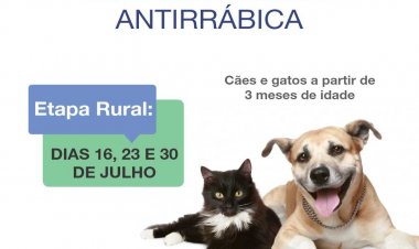 Ubá inicia etapa rural de vacinação antirrábica
