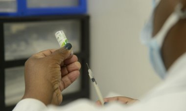 Covid-19: Brasil registra 380 mortes e 72,2 mil casos em 24 horas