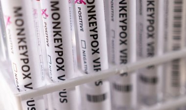 Varíola dos macacos: com 813 casos, Brasil tem situação "preocupante"