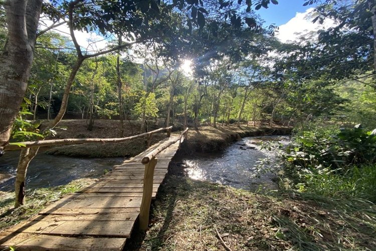 Gisele Bundchen anuncia doação para ONG de preservação ambiental em Muriaé