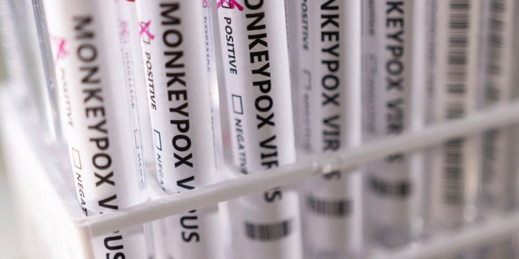 Brasil negocia compra de vacina contra varíola dos macacos