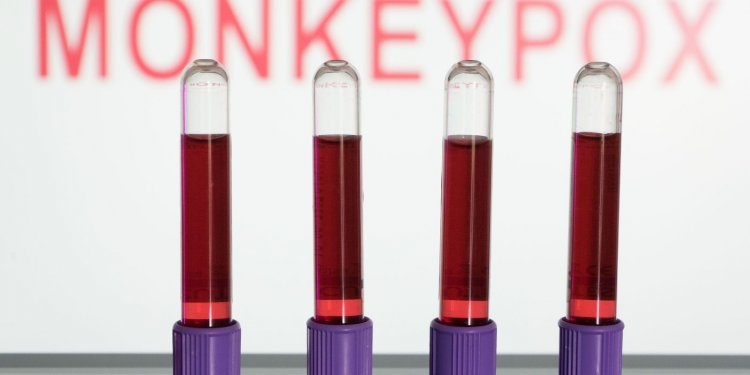 Primeiras vacinas contra varíola dos macacos devem chegar em setembro