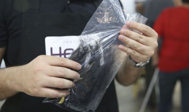 Projeto cria campanha para doação de cabelo a pessoas com câncer