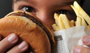 Alimentos ultraprocessados podem contribuir para perda cognitiva