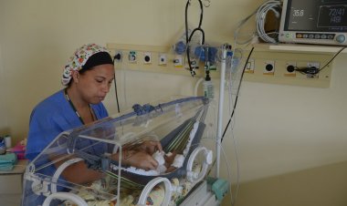 Ministério da Saúde lança guia para médicos sobre gestantes e bebês