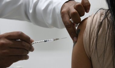 Covid-19: em 24 horas foram registrados 7.772 novos casos