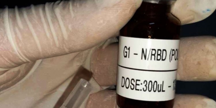 Covid-19: vacina brasileira mira variantes e facilidades logísticas