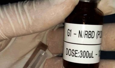 Covid-19: primeiros testes de vacina brasileira terão 400 voluntários