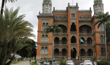 Portal gratuito sobre saúde da mulher e infantil completa cinco anos