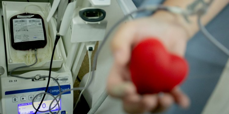 Inca registra queda de 30% no número de doadores de sangue em setembro