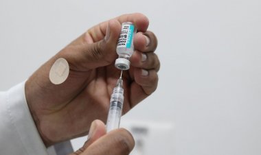 Brasil confirma 6,9 mil casos de covid-19 em 24 horas