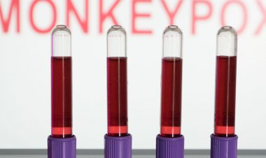 Rio de Janeiro registra mais duas mortes por varíola dos macacos