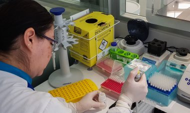 Instituto fará mutirão de teste de paternidade em São Paulo