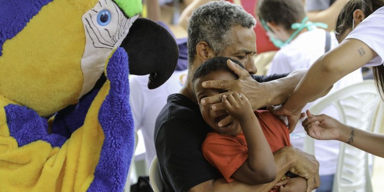 Animais "ajudam" na vacinação de crianças no zoológico de Brasília