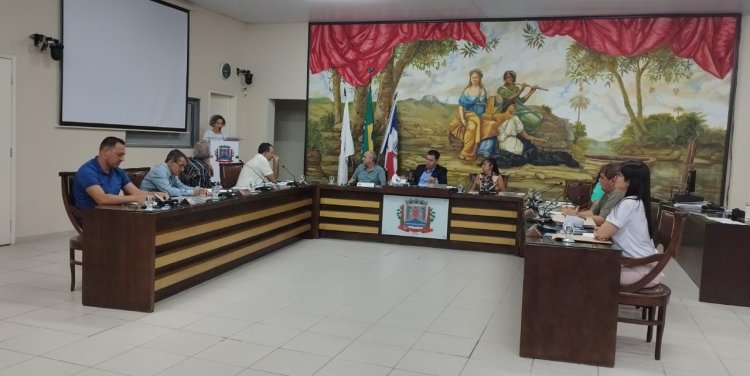 Vereadora Aline apoia Mobilização Nacional pela Saúde Mental Materna