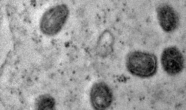 OMS declara fim da emergência em saúde por mpox