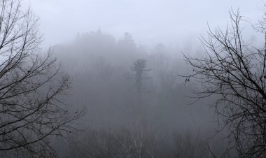 Temperaturas devem despencar 5ºC em mais de 500 cidades mineiras; Ubá está na lista, confira