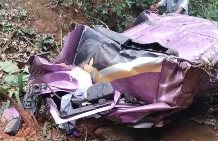 Carreta cai de ponte e motorista morre próximo a Além Paraíba