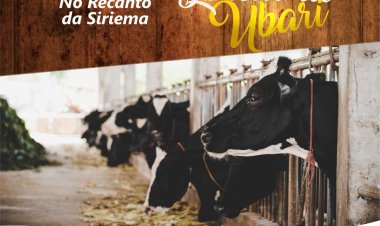 17º Torneio Leiteiro de Ubari