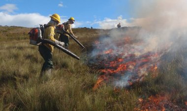 Onda de calor em Minas Gerais pode superar os 39°C e aumentar o risco de incêndios florestais no estado