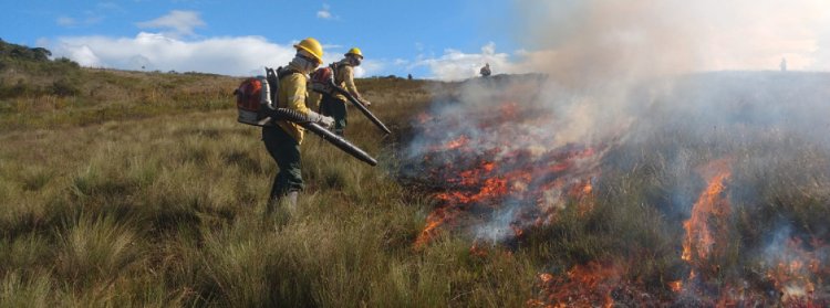 Onda de calor em Minas Gerais pode superar os 39°C e aumentar o risco de incêndios florestais no estado