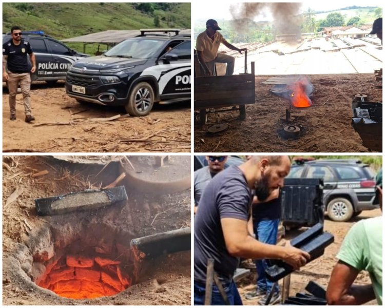 PCMG incinera cerca de 700 quilos de maconha em Muriaé